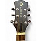 Used 2020s Luna Safari Dolphin 3/4 Natural Acoustic Guitar