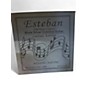 Used Esteban American Legacy Ebony Acoustic Electric Guitar