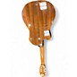 Used Tokai MUSICAL Brown Acoustic Electric Guitar
