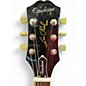 Used Epiphone Les Paul Standard 1950s Gold Solid Body Electric Guitar