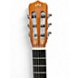 Used Cordoba Fusion 12 Rose II Rosewood Classical Acoustic Electric Guitar
