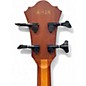 Used Ibanez AEGB24E Mahogany Acoustic Bass Guitar