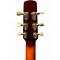 Used Seagull Performer CW CH Burnt Umber Acoustic Electric Guitar