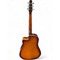 Used Seagull Entourage CW QIT AUTUMN BURST Acoustic Electric Guitar