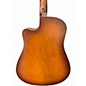 Used Seagull Entourage CW QIT AUTUMN BURST Acoustic Electric Guitar