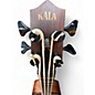 Used Kala Exotic Mahogany U-Bass Mahogany Acoustic Bass Guitar