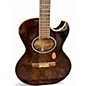 Used Washburn ea20 Burl Acoustic Electric Guitar