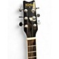 Used Washburn ea20 Burl Acoustic Electric Guitar