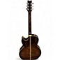 Used Washburn ea20 Burl Acoustic Electric Guitar