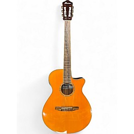 Used Ibanez AEG10NII Natural Classical Acoustic Electric Guitar