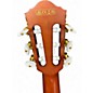 Used Ibanez FRH10NL Brown Sunburst Nylon String Acoustic Guitar