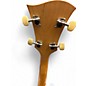 Used Deering Goodtime Banjo Natural Banjo