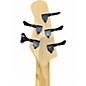 Used Michael Kelly CUSTOM COLLECTION ELEMENT 5 Striped Ebony Electric Bass Guitar