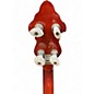 Used Recording King RKR20 Bluegrass Series Songster Brown Banjo
