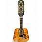 Used Iris AB Natural Acoustic Guitar