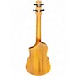 Used Ibanez AUT10 Natural Ukulele