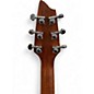 Used Breedlove C250/CK Brown Acoustic Guitar