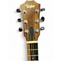 Used Taylor GS Mini Mahogany Mahogany Acoustic Guitar
