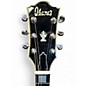 Used Ibanez Model 2354 Walnut Solid Body Electric Guitar