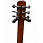Used Seagull Entourage Grand Parlor Rustic Burst Acoustic Guitar