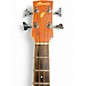 Used Ibanez PNB14E Mahogany Acoustic Bass Guitar
