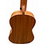 Used Alvarez RU22BE Natural Ukulele