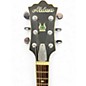 Used Alden ZE Zemaitas Blues Line Metal Top Mahogany Solid Body Electric Guitar