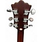 Used Alden ZE Zemaitas Blues Line Metal Top Mahogany Solid Body Electric Guitar