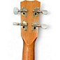 Used Cordoba 15TB-E Mahogany Ukulele
