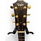 Used Taylor 224CEKDLX Tobacco Acoustic Electric Guitar