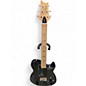 Used PRS NF53 SE BLACK DOG HAIR Solid Body Electric Guitar thumbnail