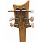 Used PRS NF53 SE BLACK DOG HAIR Solid Body Electric Guitar