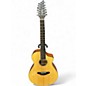 Used Breedlove PASSPORT 12 STRING Natural 12 String Acoustic Electric Guitar thumbnail