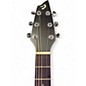 Used Breedlove D200SMP Passport Natural Acoustic Guitar