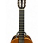 Used Giannini GWNC6 CEDAR Classical Acoustic Guitar