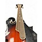 Used Savannah SF100 2 Color Sunburst Mandolin