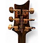 Used PRS SE Mark Holcomb Holcomb burst Solid Body Electric Guitar