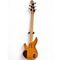 Used Michael Kelly PINNACLE 5 NATURAL POPLAR BURL Electric Bass Guitar