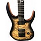 Used 2021 Solar Guitars S1.6PB POPLAR BURL BURST Solid Body Electric Guitar