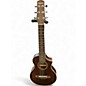 Used Ibanez EWP13DBO Mahogany Acoustic Guitar thumbnail