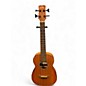 Used Cordoba MINI II BASS MH-E Mahogany Acoustic Bass Guitar thumbnail