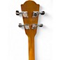 Used Framus BANJO Natural Banjo