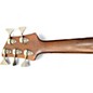 Used Elrick E-VOLUTION GOLD Black and Gold Electric Bass Guitar