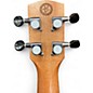 Used Alvarez GDU26C Montage GRATEFUL DEAD CONCERT Ukulele