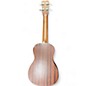 Used Cordoba Protege U1M Concert NATURAL Ukulele
