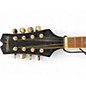 Used Mitchell AM100VS 2 Color Sunburst Mandolin