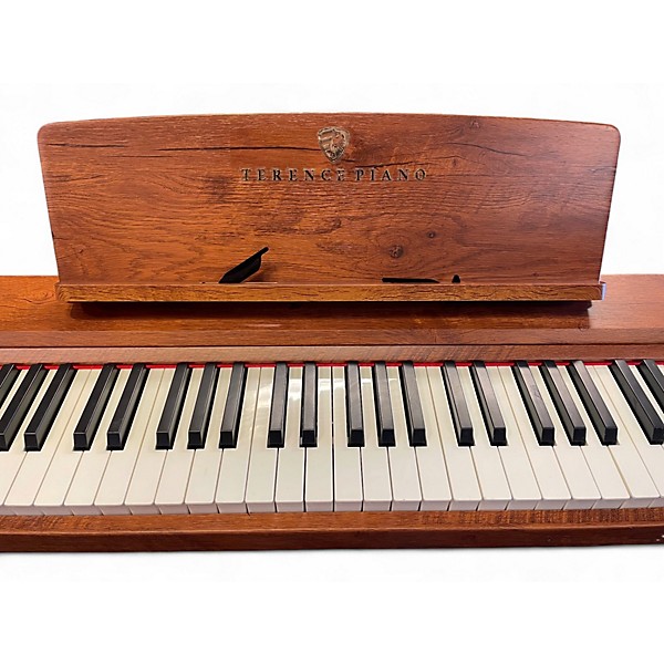 Used Terence P10 Digital Piano