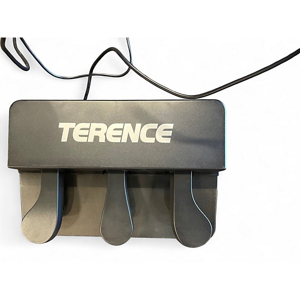 Used Terence P10 Digital Piano