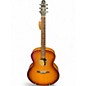 Used Seagull Entourage Rustic Burst Acoustic Guitar thumbnail