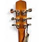 Used Seagull Entourage Rustic Burst Acoustic Guitar